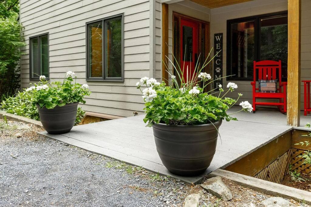 Bluebird Mountain Home Mount Torry Furnace ภายนอก รูปภาพ