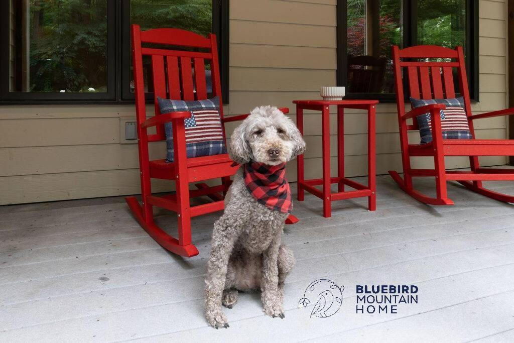 Bluebird Mountain Home Mount Torry Furnace ภายนอก รูปภาพ